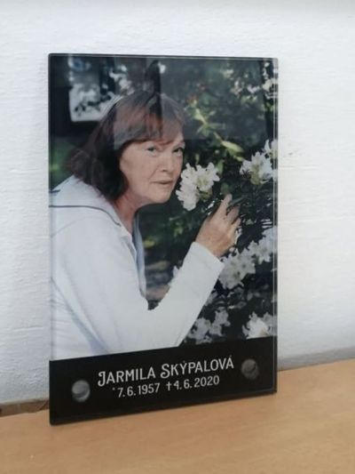 Fotografía en vidrio